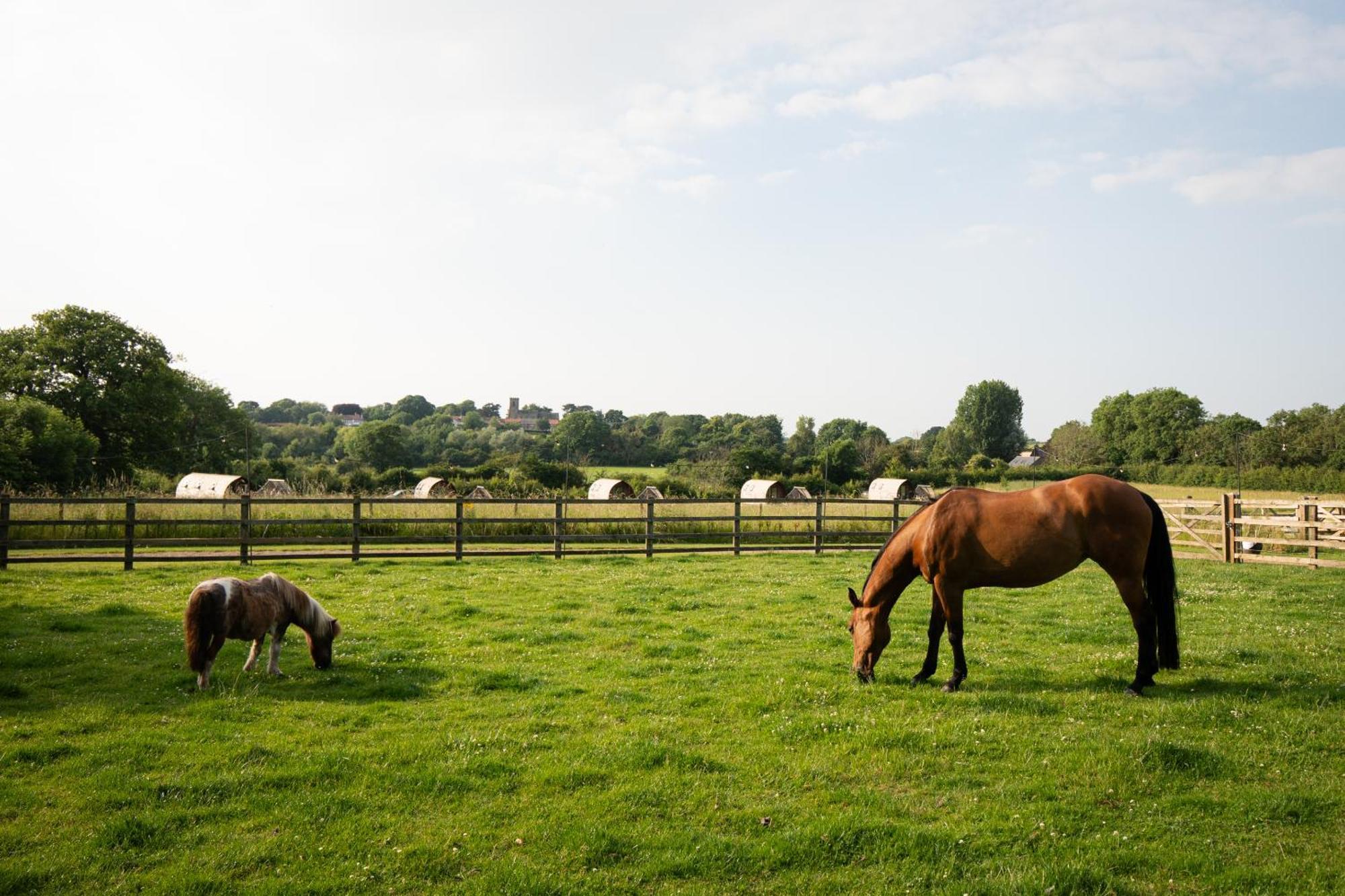 Sedgewell Barn By Wigwam Holidays Northallerton Bagian luar foto