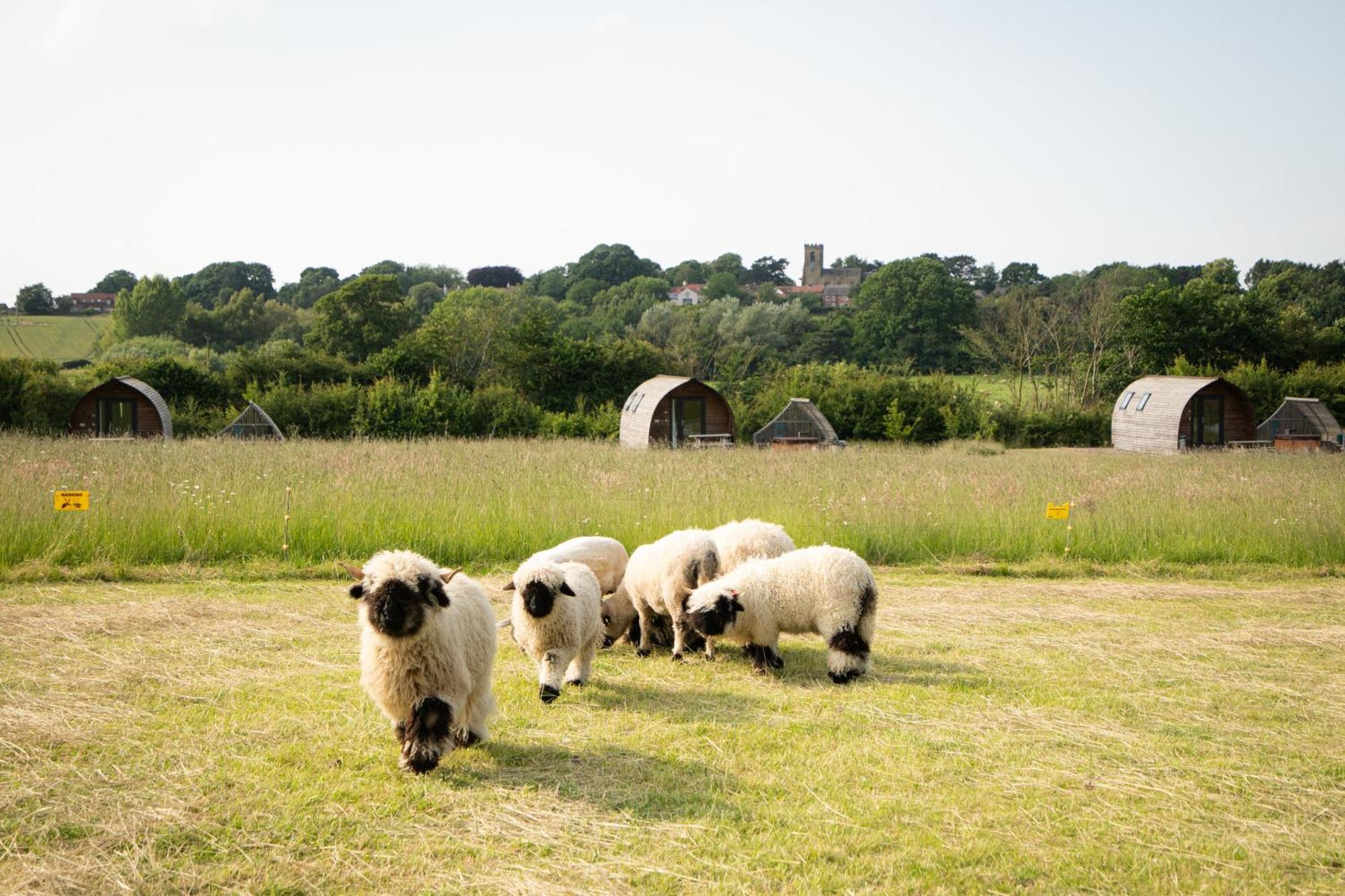 Sedgewell Barn By Wigwam Holidays Northallerton Bagian luar foto